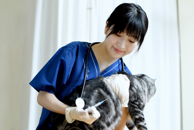 健康診断・予防接種